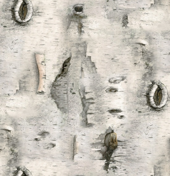 4324-Gray