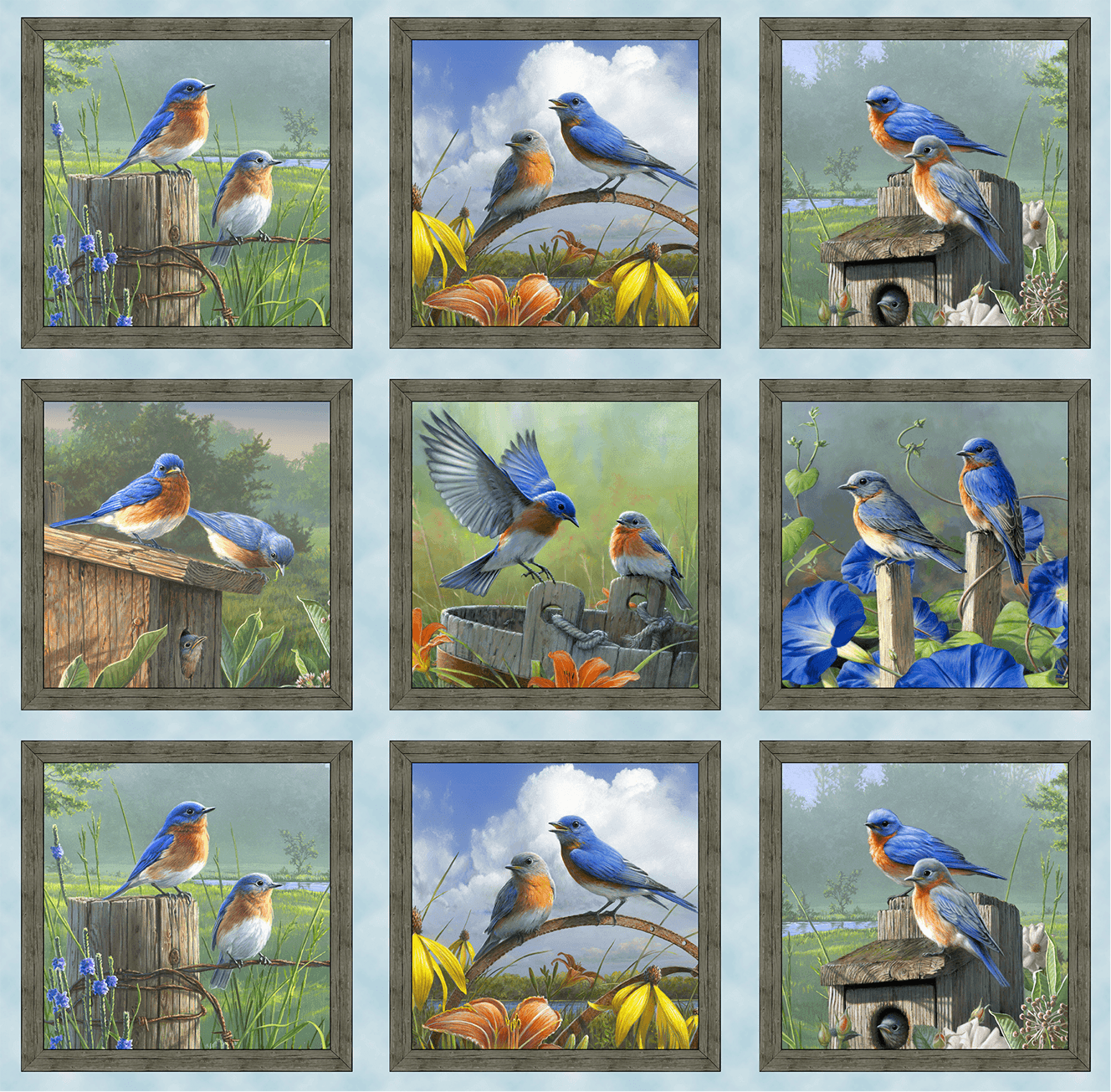 46008-Blue