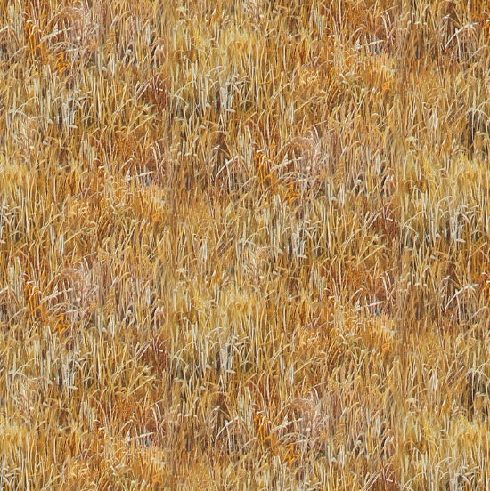 48001-Gold