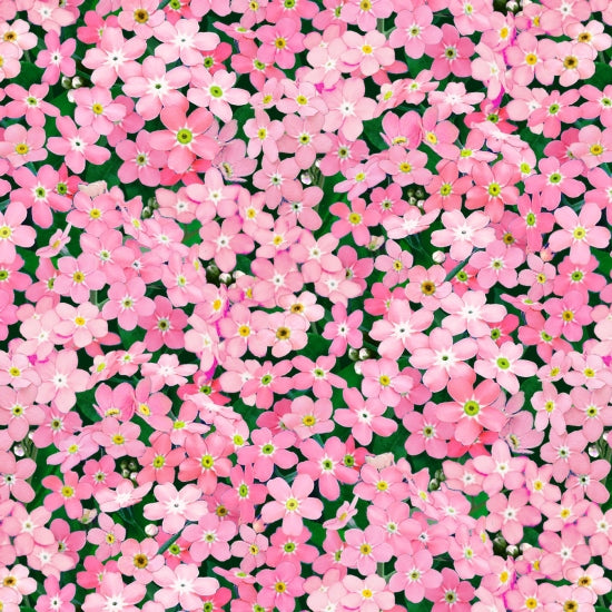 542-Pink