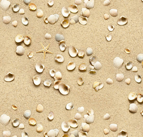 555-Sand