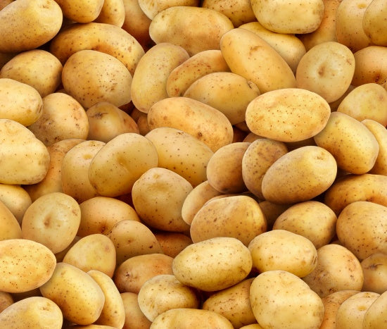 575-Gold
