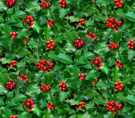 608-Green