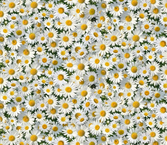 656-White