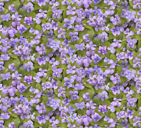 678-Violet