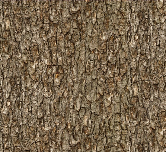 709-Walnut