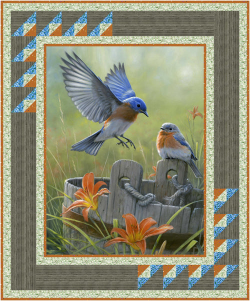 Safe Landings: Bluebirds