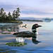 Loons
