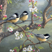 Chickadee Morning