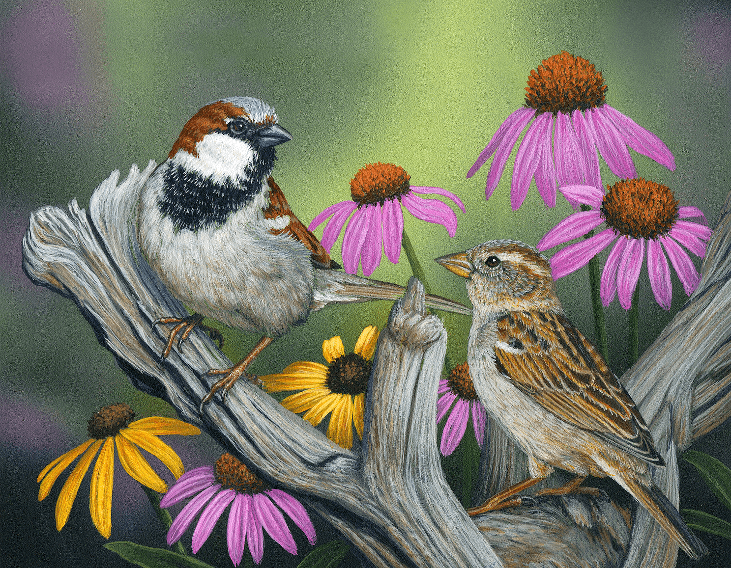 His Eye is on the Sparrow