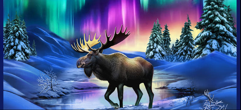 Aurora
