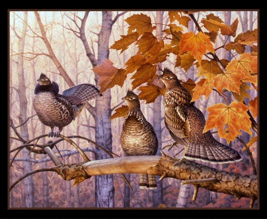 Out on a Limb