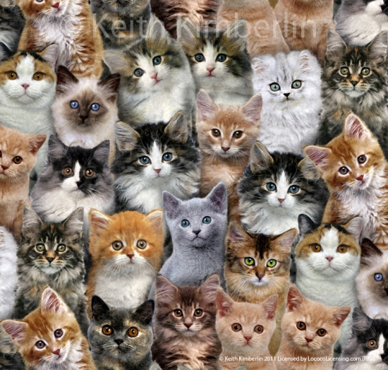 Adorable Pets