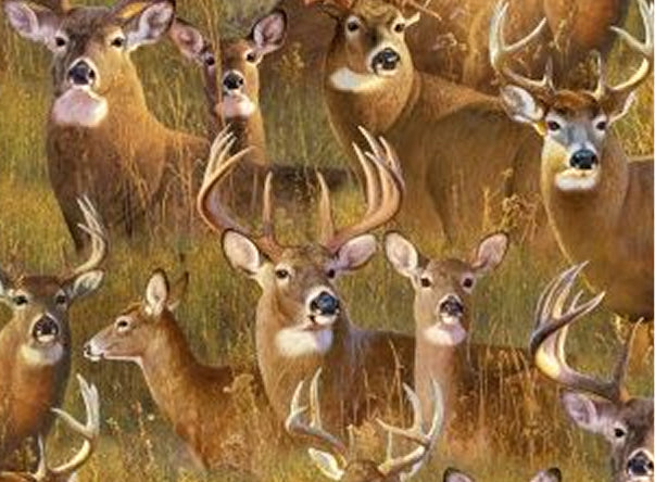 A Buck Stops Here