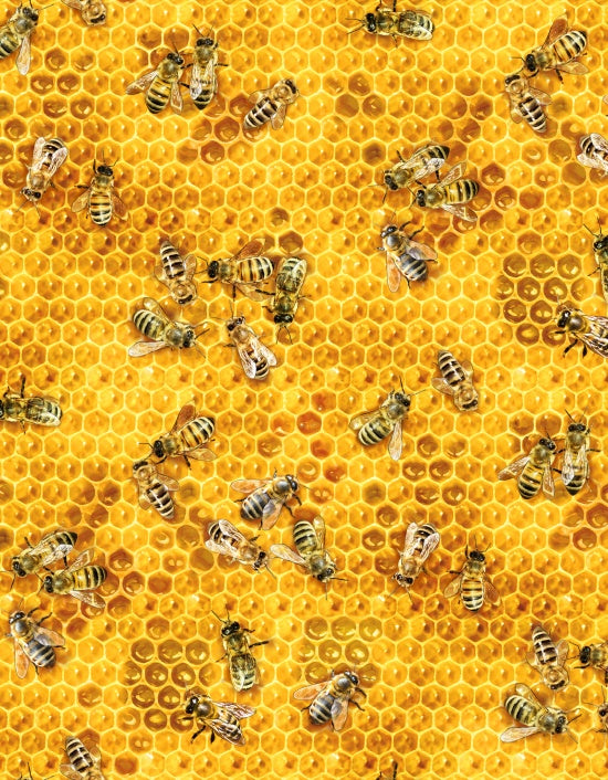 Bees and Flowers