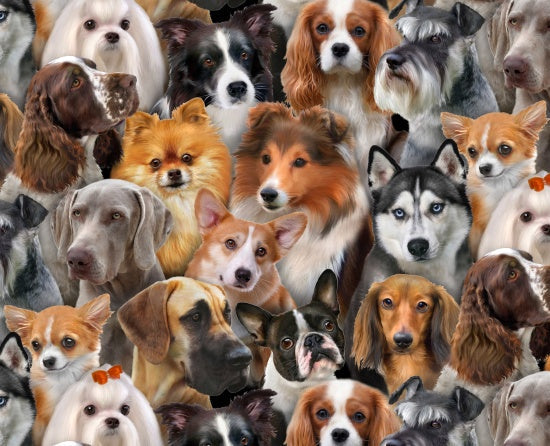 Dog Breeds