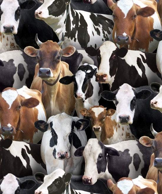 Farm Animals