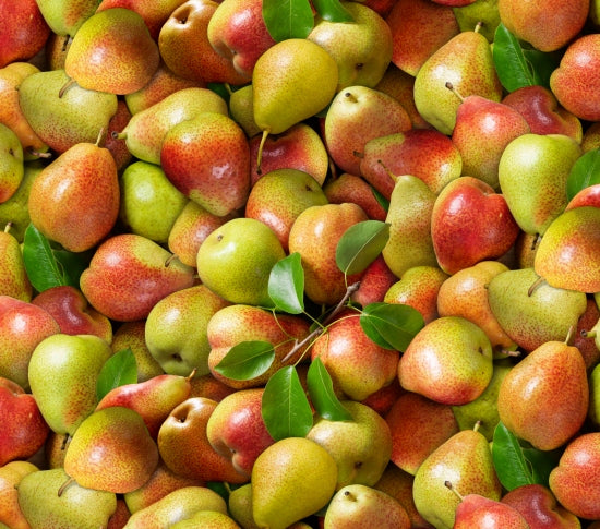 Food Festival