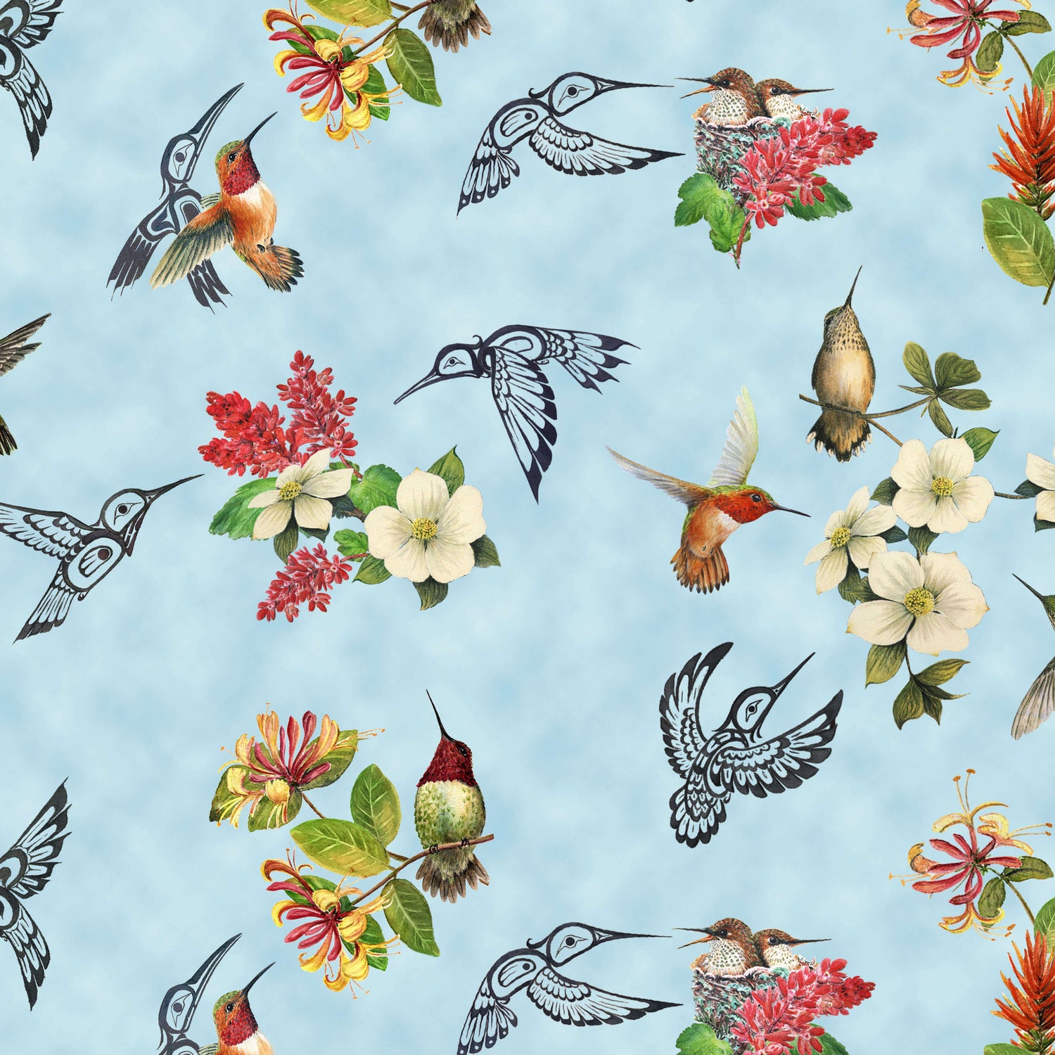 Hummingbird Vision