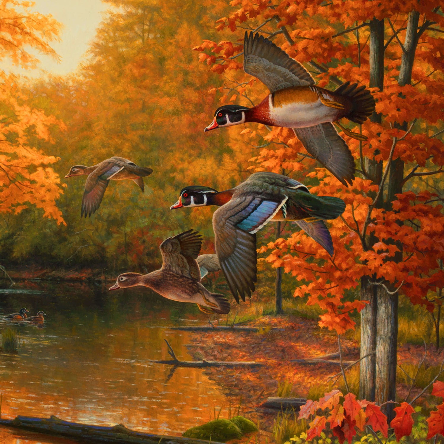 Magical Season