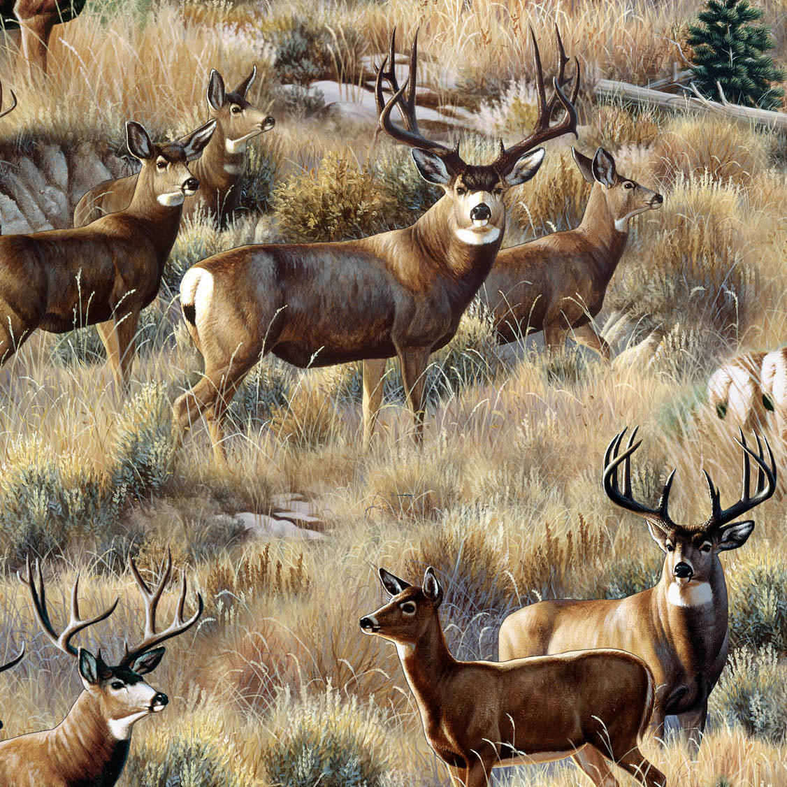 Mule Deer in Sage