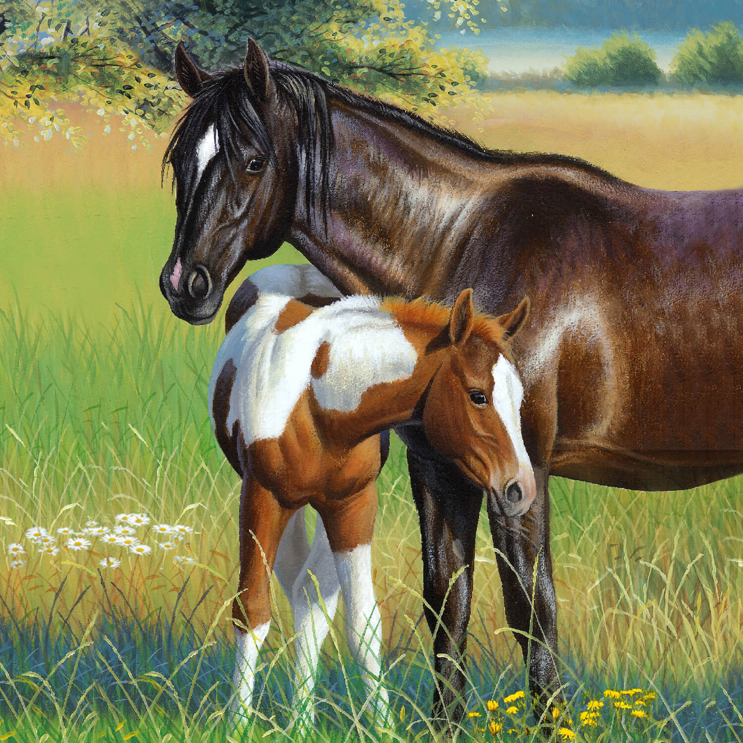 Pasture Buddies