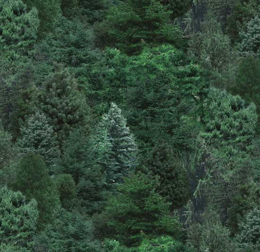 176-Pine