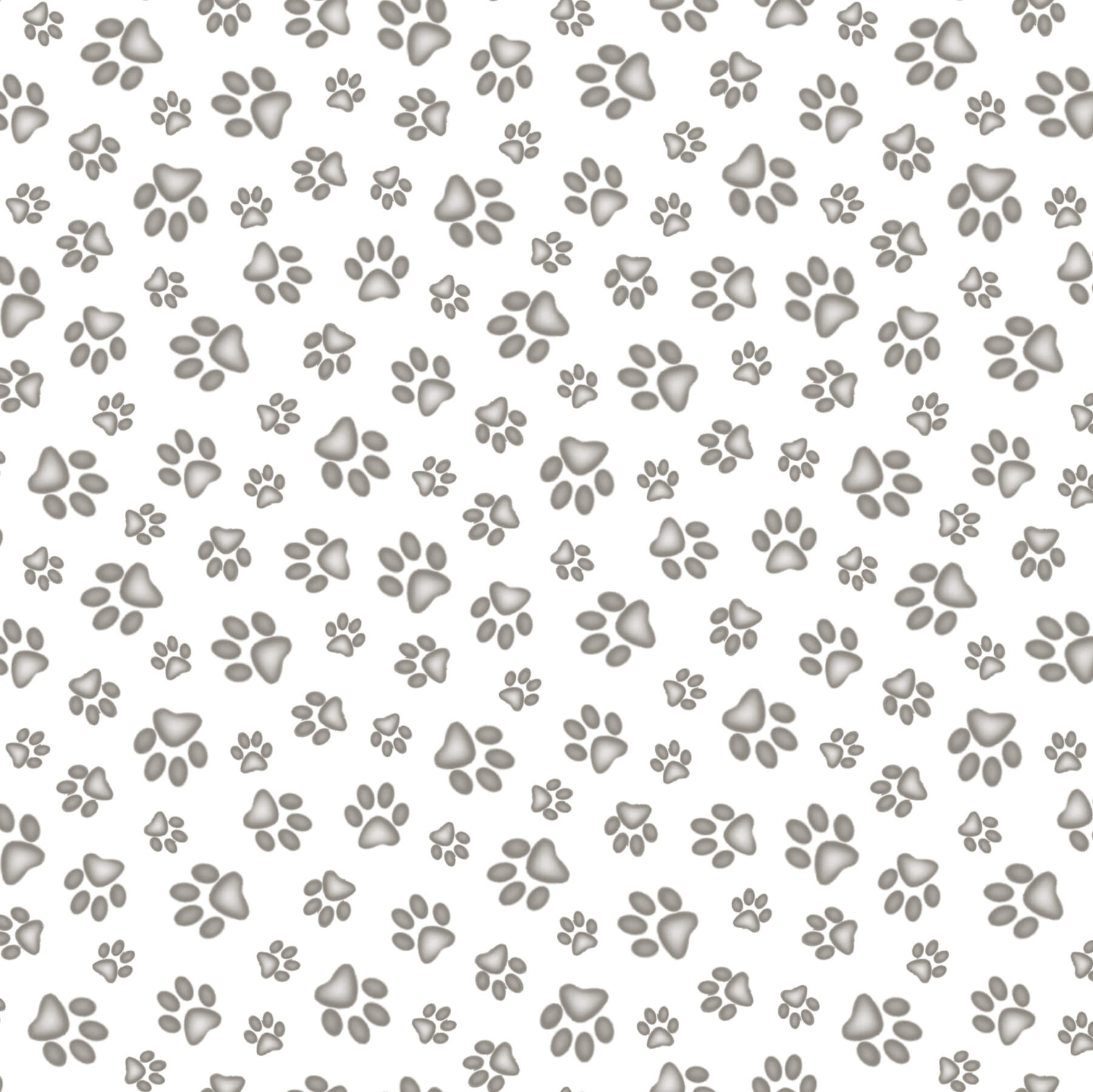 Studio 181 181-Bright White – Elizabeth's Studio