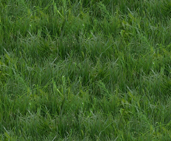 250-Green