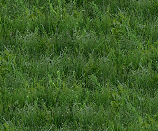 250-Green