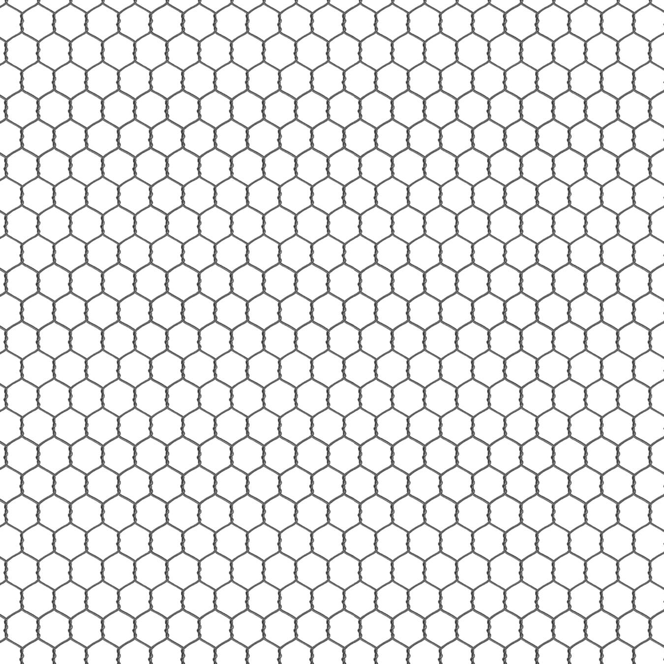 355-White