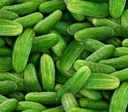 437-green