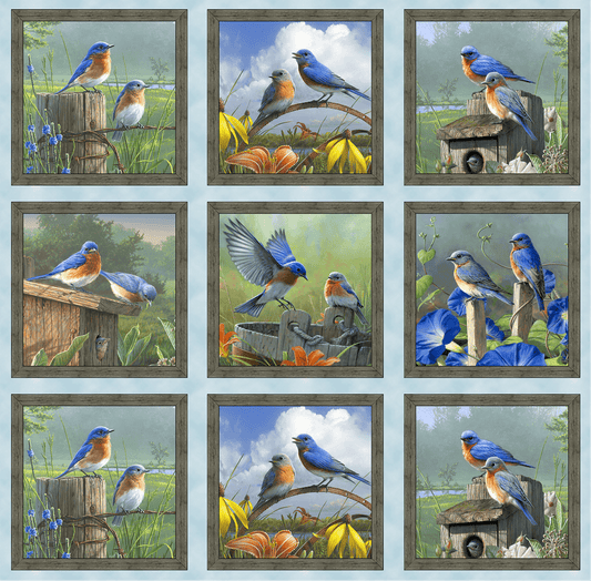 46008-Blue