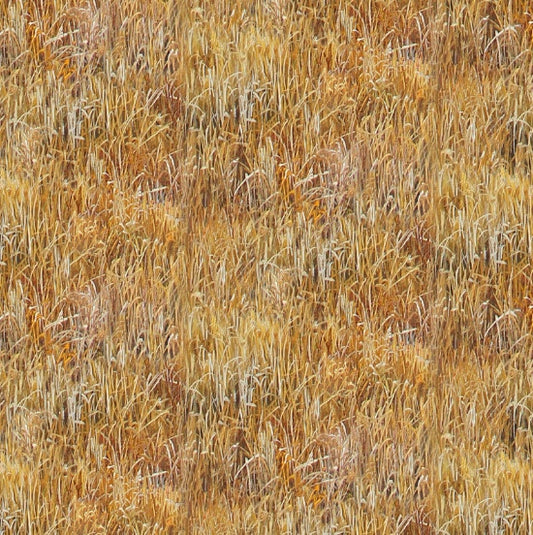 48001-Gold