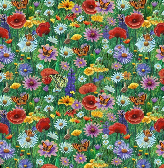 50001-Multi