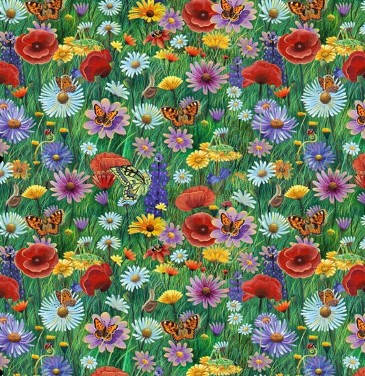 50001-Multi