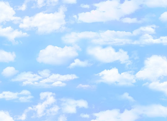 505-Light Blue