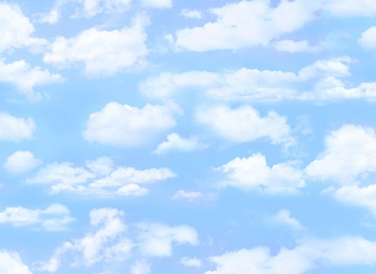 505-Light Blue