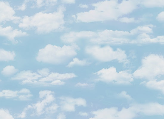 505-Misty Blue