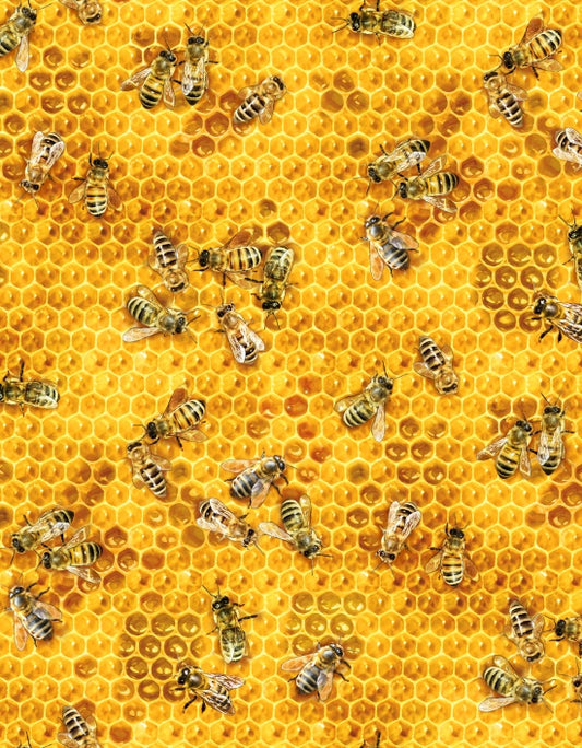 510-Honey