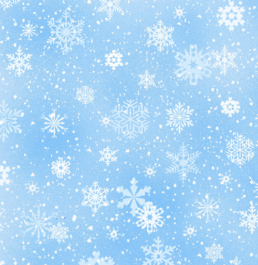 532-Snow