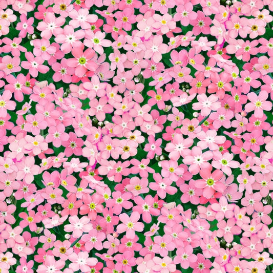542-Pink