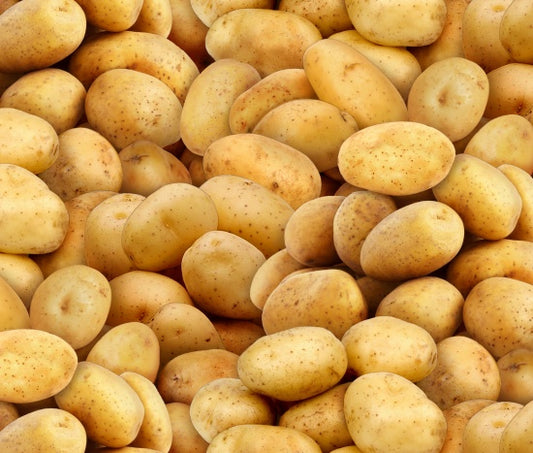 575-Gold