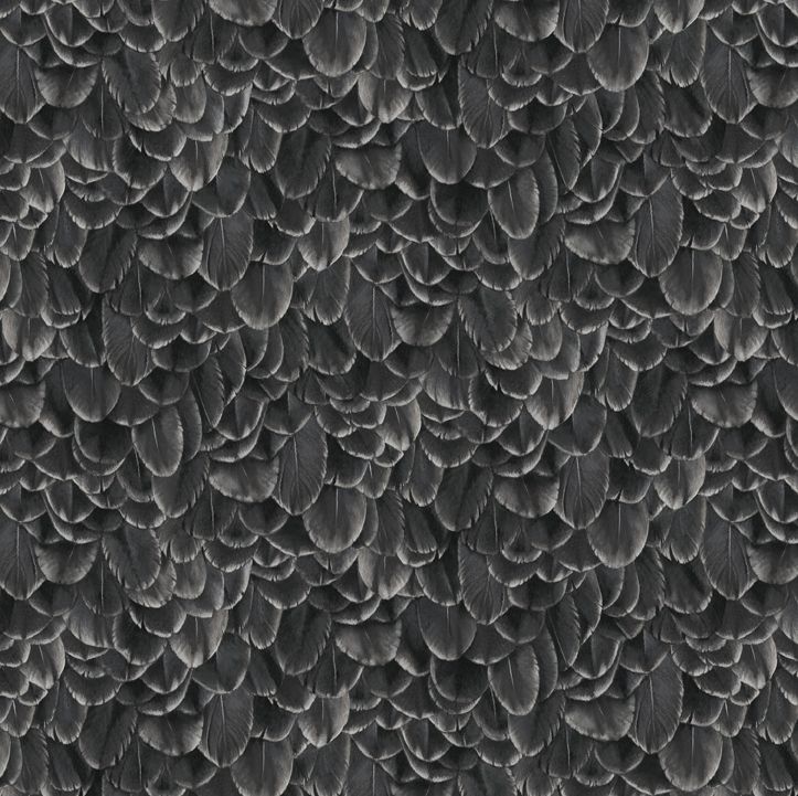 59001-Black and White