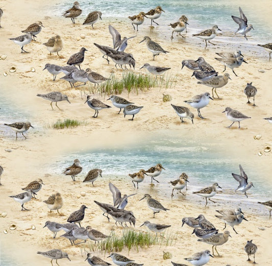 593-Sand