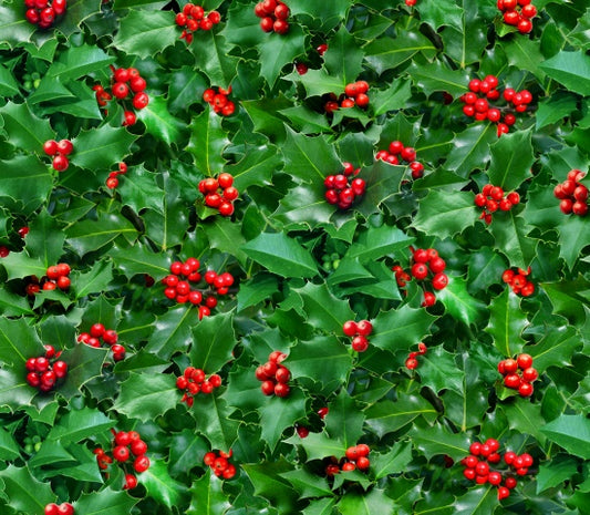 608-Green