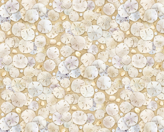 619-Sand