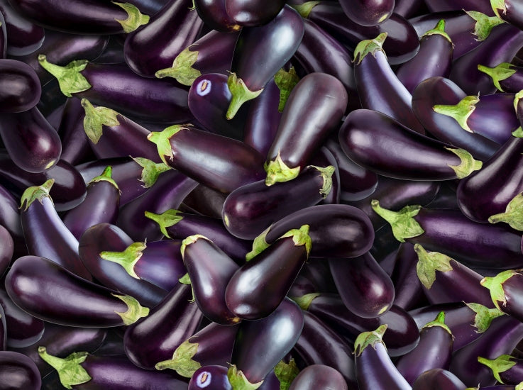 634-purple