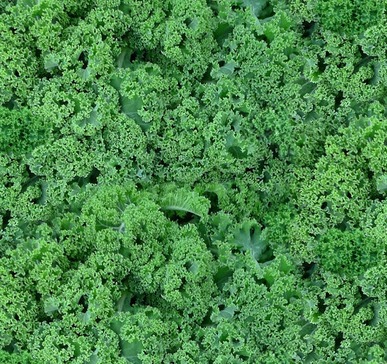 642-green