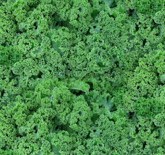 642-green